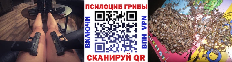 Галлюциногенные грибы Psilocybe  Жигулёвск 